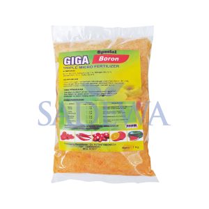 GIGA BORON