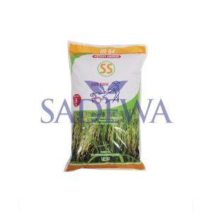 BENIH PADI IR 64 UNGGUL